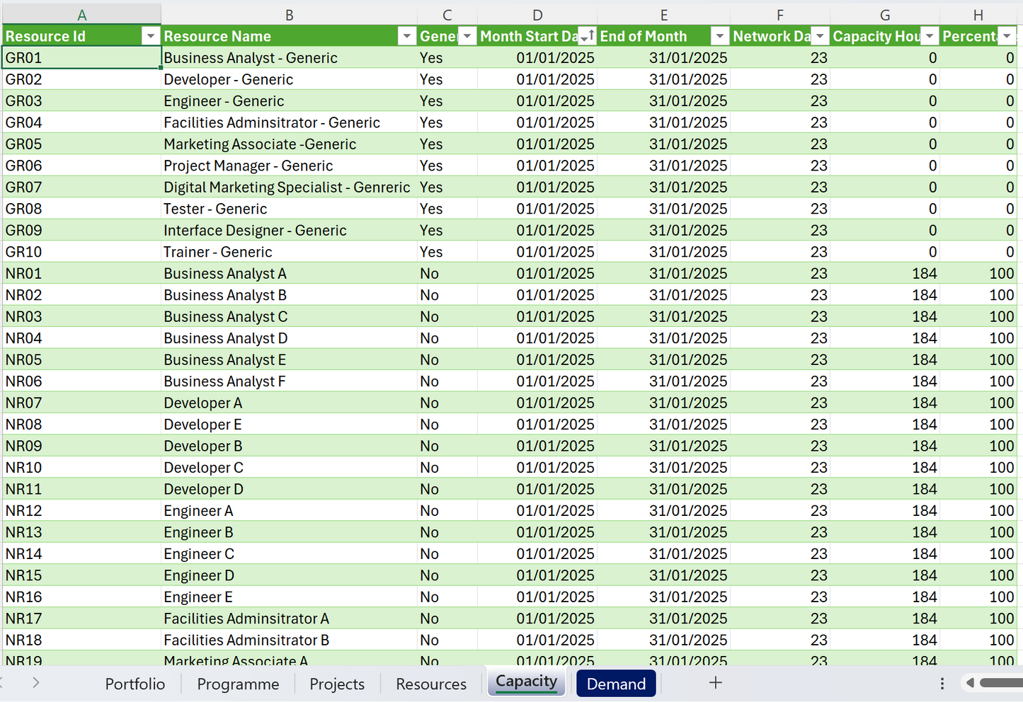 Spreadsheet with project management data including resource names, roles, and capacity details.